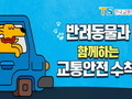 반려동물 안고 운전하면 사고위험 4.7배 높아
