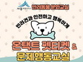 세종시 