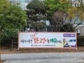 부산 북구, 길고양이 운전자 모두 안전한 '모닝노크 캠페인' 추진