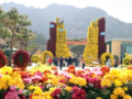 영암 '2022년 월출산 국화축제' 성료