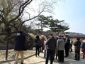 문화재청, 창경궁 명품 숲길 거닐며 듣는 역사와 나무 이야기