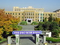충북도, 수해 지역 가축전염병 소독 활동 강화