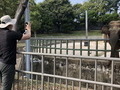 전주동물원 “동물 관람도 온라인 라이브로 즐기세요