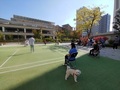 시흥시, 아파트 단지로 찾아가는 반려동물 문화 교실 운영