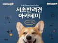 서초반려견 아카데미 상반기 교육 8일부터 접수