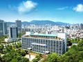 부산 연제구, 물티슈 사용 줄이기 대주민 홍보 나서