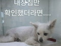 농식품부, 휴가철에 버려지는 반려동물 예방 캠페인 실시