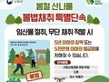 드론까지 뜬다…봄 산나물 채취, 이제 단속 전쟁