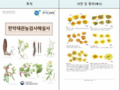 식약처, '한약재 관능검사 해설서' 개정본 발간