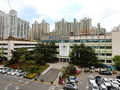 강남구, 주차장 등 활용한 '일일 반려견 놀이터' 운영