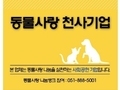 부산광역시, '동물사랑 천사기업' 4곳 신규 선정