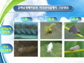 합천군, 농작물 망치는 돌발해충 사전예방 실시