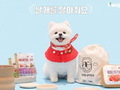 국내선 반려동물 탑승객에 트래블 키트 증정 이벤트