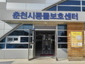 춘천 유기동물 입양센터 12월에 문열어 본격분양