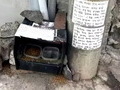 길고양이 급식통에 독극물 수사