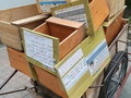 ‘사람·동물 공존’ 나선 경기도, 길고양이 급식소 설치 확대