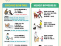 부산시, 동물보호법 위반하지 말자