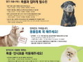 순창군, 반려동물 외출시 의무사항 홍보 캠페인 추진