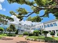 남해군, 길고양이 함부로 데려가지 마세요!!