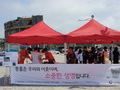 보령시 ‘성숙한 반려동물 문화조성 캠페인’ 펼처