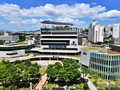 광주 서구, 로드킬 동물 사체 처리 전담반 운영