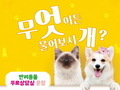 성동구, 반려동물 무료상담 ‘무엇이든 물어보시개’ 운영