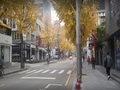 강남구 '가로수길', 도로 표지판 싹 바뀌어