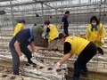 수원시 재난재해봉사단, 안성 일죽면 피해 복구 지원